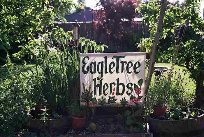 BirthSong Eagletree Herbs