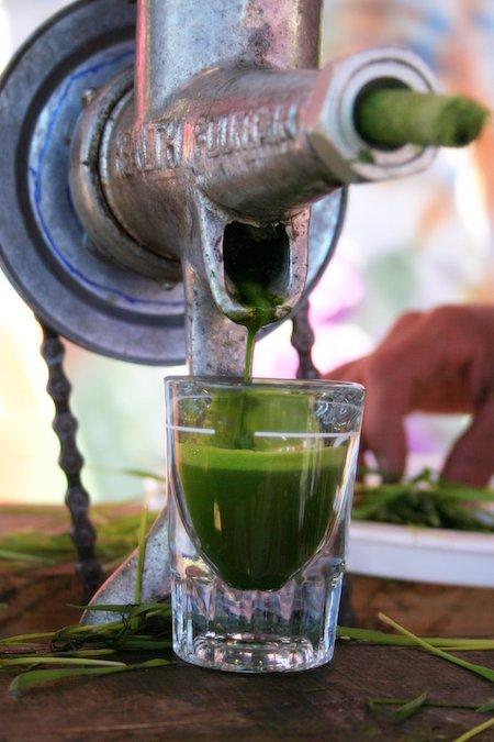 Main Stage Smoothies